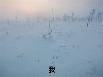 我，首富养子，开局继承亿万财产李明哲李福昌（ 李明哲李福昌）免费阅读最新章节无弹窗  李明哲李福昌完整版小说在线阅读