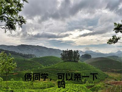 傅同学,可以亲一下吗(姜珥傅听寒)完整版全文在线赏析-傅同学,可以亲一下吗精彩美文摘抄