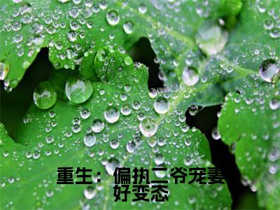 重生:偏执二爷宠妻好变态全文免费阅读无弹窗大结局_(乔恩乔玄策免费阅读)重生:偏执二爷宠妻好变态最新章节列表_笔趣阁