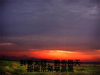 叶南爵桑甜小说在线阅读鲜妻太甜:爵爷每天抱抱亲亲举高高无广告小说免费在线阅读