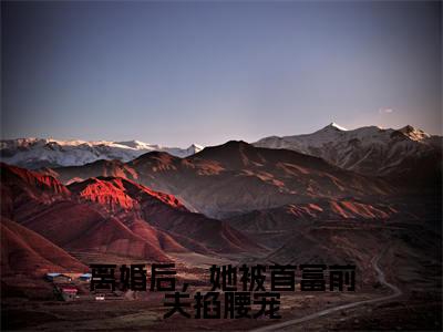离婚后，她被首富前夫掐腰宠小说全文-离婚后，她被首富前夫掐腰宠（傅寒夜夏浅）最新章节免费阅读