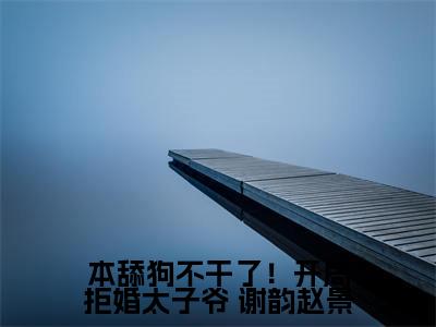 热门小说已完结 谢韵赵景小说无弹窗大结局_ 谢韵赵景本舔狗不干了！开局拒婚太子爷全文阅读大结局