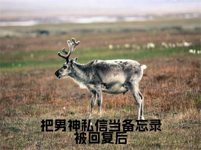 把男神私信当备忘录被回复后（岑遥谢奕修）全文免费阅读无弹窗大结局_把男神私信当备忘录被回复后_笔趣阁