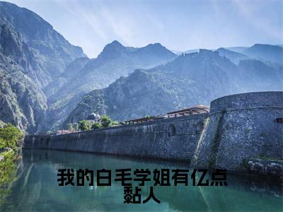 江年(江年)全文免费阅读无弹窗_我的白毛学姐有亿点黏人小说在线阅读_笔趣阁