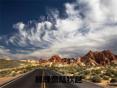 林晚莺陆钦越(陆钦越林晚莺小说免费阅读)全文免费阅读无弹窗大结局_(陆钦越林晚莺)林晚莺陆钦越小说免费阅读最新章节列表笔趣阁(陆钦越林晚莺免费阅读)