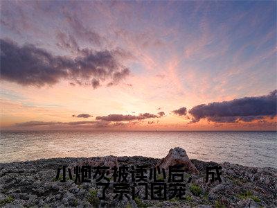 小炮灰被读心后,成了宗门团宠(云岚)全文免费阅读_小炮灰被读心后,成了宗门团宠(云岚在线小说免费阅读)全文阅读