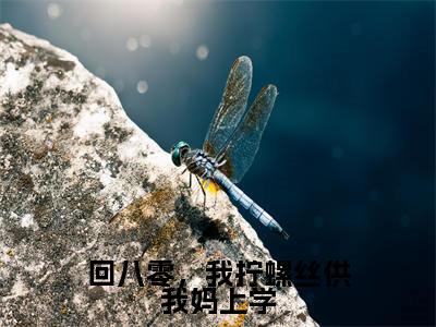 许淑慧全文免费阅读无弹窗大结局_（回八零，我拧螺丝供我妈上学阅读无弹窗）回八零，我拧螺丝供我妈上学最新章节列表_笔趣阁