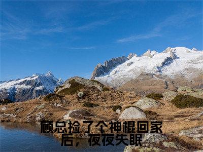 顾总捡了个神棍回家后，夜夜失眠美文欣赏完整版，顾云舟鹿呦呦精彩章节在线阅读