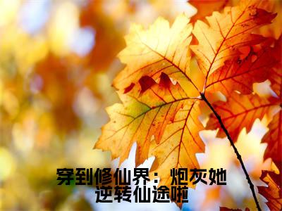 穿到修仙界:炮灰她逆转仙途啦(时墨霍廷烨)老书虫推荐小说热文-穿到修仙界:炮灰她逆转仙途啦最新更新免费阅读
