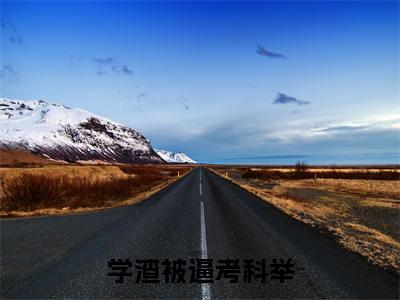 程子安（学渣被逼考科举）全文免费阅读_(学渣被逼考科举)程子安最新章节列表_笔趣阁
