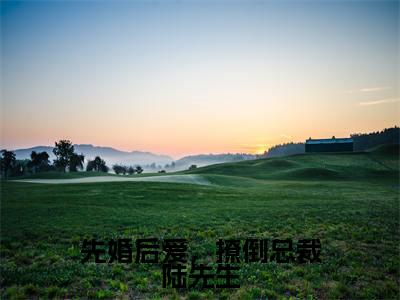 热门小说苏沐陆谨深先婚后爱,撩倒总裁陆先生全文免费阅读无弹窗大结局-苏沐陆谨深全文无弹窗免费阅读大结局