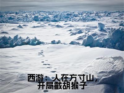西游：人在方寸山，开局截胡猴子(叶云)免费全文阅读小说_西游：人在方寸山，开局截胡猴子免费在线阅读（叶云）小说最新章节列表-笔趣阁（叶云）