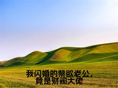 苏心沈醉小说免费阅读无弹窗《我闪婚的禁欲老公，竟是财阀大佬》_我闪婚的禁欲老公，竟是财阀大佬全文阅读苏心沈醉