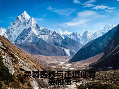 林怜儿南宫曜(柔弱医修与正道仙君要和离)全文免费阅读-小说柔弱医修与正道仙君要和离最新章节阅读笔趣阁