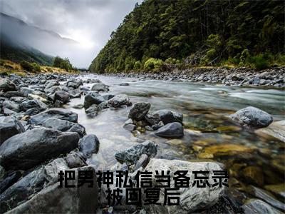 把男神私信当备忘录被回复后全文免费阅读无弹窗大结局-岑遥谢奕修全文在线阅读