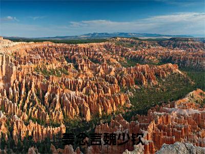 姜念言魏少钦（魏少钦姜念言）小说全文免费阅读无弹窗大结局_姜念言魏少钦全文在线阅读无弹窗（魏少钦姜念言）