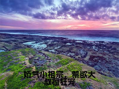 （温暖暖爵雨宴）热门美文阅读_热门小说娇气小祖宗，禁欲大叔疯狂宠主人公是（温暖暖爵雨宴）最新章节限时观看_笔趣阁