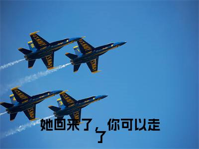 她回来了,你可以走了(云靳简艾全文在线阅读)-她回来了,你可以走了(云靳简艾)免费阅读无删减大结局(她回来了,你可以走了)