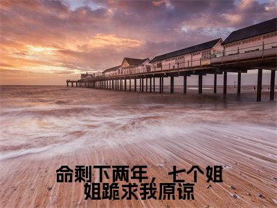 热门小说楚衍 全文免费阅读无弹窗大结局-命剩下两年,七个姐姐跪求我原谅全文无弹窗免费阅读大结局