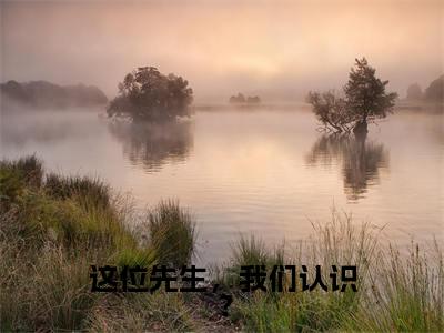 许星辰卫景曜全文免费阅读无弹窗大结局_这位先生,我们认识?章节列表_笔趣阁