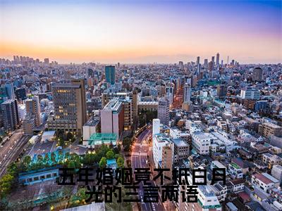 苏音霍启琛的小说免费阅读言情小说《五年婚姻竟不抵白月光的三言两语》全文-五年婚姻竟不抵白月光的三言两语的小说免费阅读小说无弹窗阅读