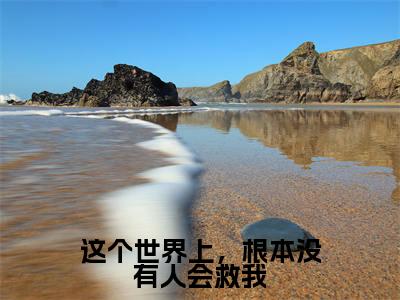 热门小说林念初秦之霄全文免费阅读无弹窗大结局-这个世界上,根本没有人会救我全文无弹窗免费阅读大结局