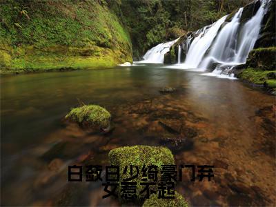 豪门弃女惹不起( 白蔹白少绮)小说全文免费阅读无弹窗大结局_（ 白蔹白少绮）豪门弃女惹不起最新章节列表（ 白蔹白少绮）