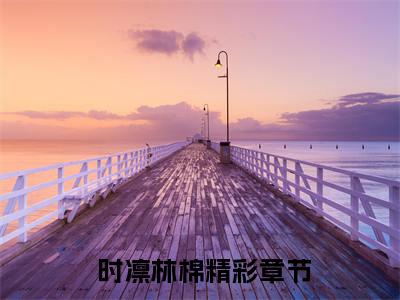为钱误入歧途？禁欲医生用爱救赎精彩小说赏析全文  时凛林棉热门小说免费阅读
