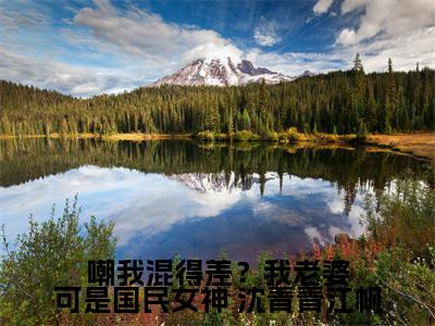 嘲我混得差？我老婆可是国民女神「精彩小说」无弹窗阅读  沈青青江帆大结局阅读