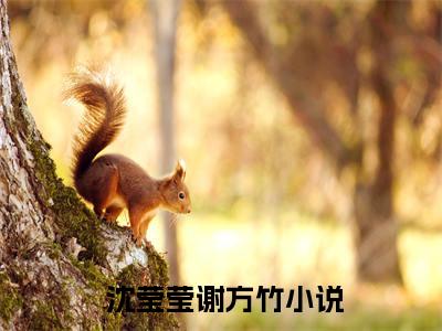 穿书后，她每天都在改写被虐剧本小说( 沈莹莹谢方竹小说)全文免费阅读无弹窗大结局- 沈莹莹谢方竹小说最新章节列表_笔趣阁
