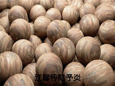 江馨怀陆予炎在线阅读全文免费阅读无弹窗大结局_陆予炎江馨怀最新章节列表_笔趣阁