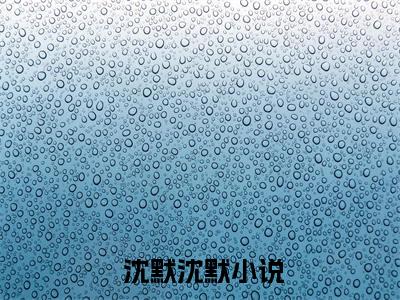娱乐之脑海中的声音小说全文( 沈默沈默)免费阅读全文无弹窗大结局_  沈默沈默免费阅读无弹窗小说_笔趣阁