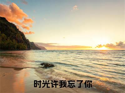 时光许我忘了你小说全文免费阅读小说盛璃祁野热门小说完整版阅读