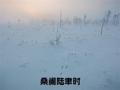 陆聿时桑阑:桑阑陆聿时阅读无弹窗大结局_(陆聿时桑阑阅读无弹窗)最新章节列表_笔趣阁(陆聿时桑阑)