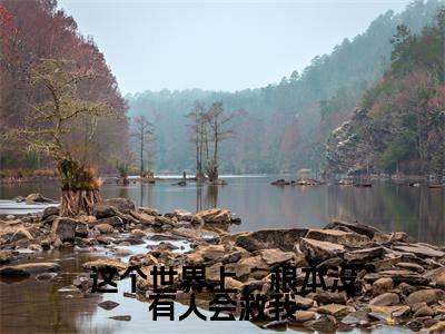 这个世界上,根本没有人会救我(林念初秦之霄)全文免费阅读大结局_(林念初秦之霄免费阅读)这个世界上,根本没有人会救我全文在线完本阅读