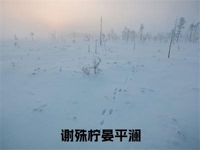 谢殊柠晏平澜(晏平澜谢殊柠)全文免费阅读无弹窗大结局_谢殊柠晏平澜全文免费阅读最新章节列表_笔趣阁