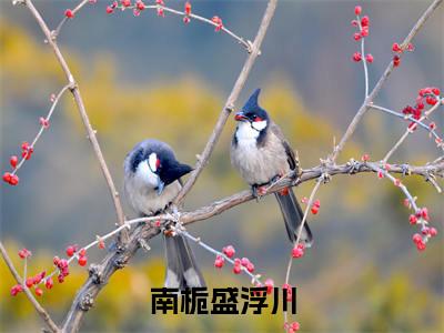 (热推新书)(南栀盛浮川)全文免费阅读无弹窗大结局-盛浮川南栀全文阅读无弹窗