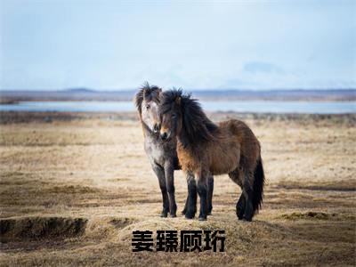 顾珩姜臻全本资源(姜臻顾珩)全文免费阅读无弹窗大结局_姜臻顾珩最新章节列表(顾珩姜臻)
