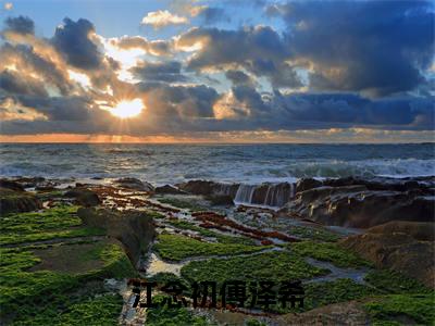 江念初傅泽希小说全文免费阅读无弹窗大结局_(江念初傅泽希)傅泽希江念初最新章节列表笔趣阁(傅泽希江念初)