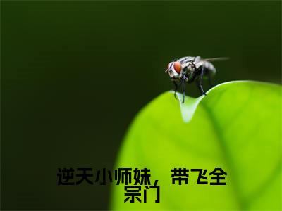 龙阙阙（逆天小师妹，带飞全宗门）的小说完整版免费阅读 主角是（龙阙阙）逆天小师妹，带飞全宗门无弹窗免费阅读
