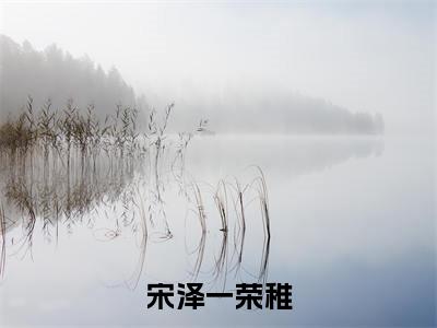 宋泽一荣稚（荣稚宋泽一）全文免费阅读无弹窗大结局_宋泽一荣稚免费最新章节列表_笔趣阁