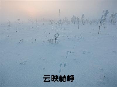赫峥云映(云映赫峥)小说免费下载全本-赫峥云映(云映赫峥完整版)免费阅读(赫峥云映)