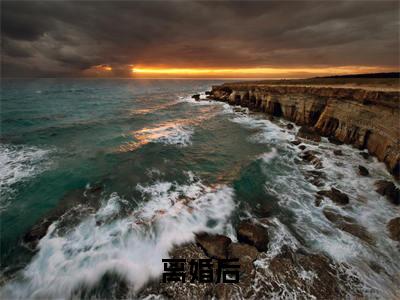 离婚后，出轨老公跪求我原谅（ 何宏明何苏苏全章节完整版）免费阅读_（ 何宏明何苏苏）离婚后，出轨老公跪求我原谅全文无删减免费阅读