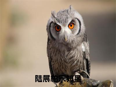 宋如星陆展柏（宋如星陆展柏）全文免费阅读无弹窗大结局_陆展柏宋如星:宋如星陆展柏最新章节列表_笔趣阁（宋如星陆展柏）