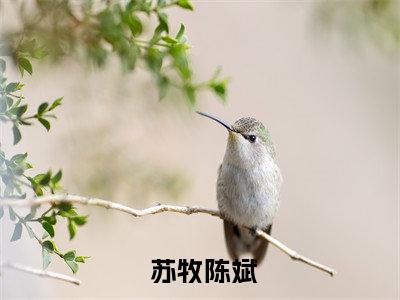 杀戮战场：我能复制对方天赋！热文小说全文阅读-精彩美文 苏牧陈斌免费阅读