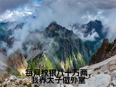 沈君曦萧宸（每月纹银八十万两，我养太子做外室）全文免费阅读无弹窗大结局_（沈君曦萧宸每月纹银八十万两，我养太子做外室全文免费阅读无弹窗）每月纹银八十万两，我养太子做外室最新章节列表_笔趣阁（沈君曦萧宸）
