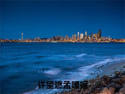 孟嗳婉许望燃小说免费阅读无弹窗,小说名字是:许望燃孟嗳婉的小说在线阅读无删减