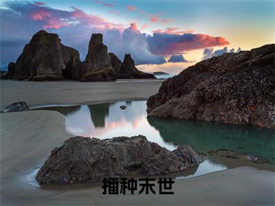 李烨(播种末世)全文免费阅读无弹窗大结局_李烨完整章节阅读
