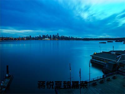 小说魏嘉荣蒋悦夏(蒋悦夏魏嘉荣小说免费阅读)完结阅读,魏嘉荣蒋悦夏在线阅读