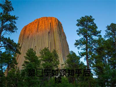  贺玥宁如颂（成亲当晚，偏执太子夺我入东宫）未删减- 贺玥宁如颂完结版阅读地址